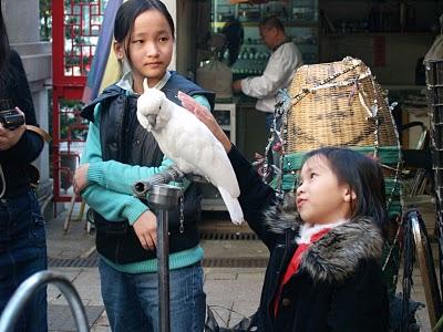 Península de Kowloon o los Nueve Dragones