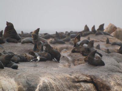 Una vuelta por el Cabo Una vuelta por el Cabo