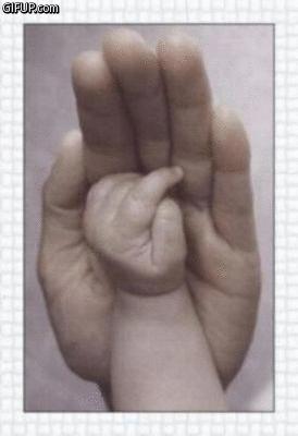 EL PATRIMONIO INTANGIBLE GIF animations generator gifup.com