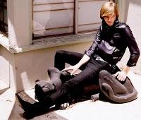 JEREMY JAY JEREMY JAY