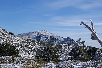 RUTA DE SIETE PICOS (SIERRA DE NAVACERRADA MADRID ESPAÑA) RUTA DE SIETE PICOS (SIERRA DE NAVACERRADA MADRID ESPAÑA)