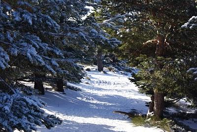 RUTA DE SIETE PICOS (SIERRA DE NAVACERRADA MADRID ESPAÑA) RUTA DE SIETE PICOS (SIERRA DE NAVACERRADA MADRID ESPAÑA)