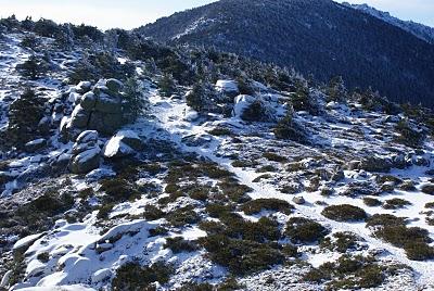 RUTA DE SIETE PICOS (SIERRA DE NAVACERRADA MADRID ESPAÑA) RUTA DE SIETE PICOS (SIERRA DE NAVACERRADA MADRID ESPAÑA)