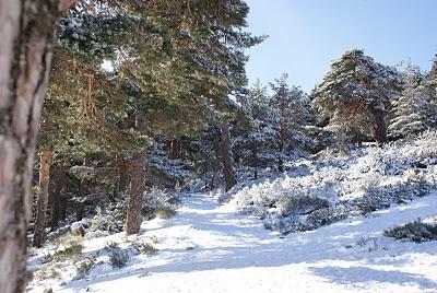 RUTA DE SIETE PICOS (SIERRA DE NAVACERRADA MADRID ESPAÑA) RUTA DE SIETE PICOS (SIERRA DE NAVACERRADA MADRID ESPAÑA)