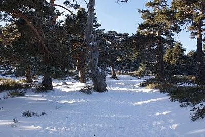 RUTA DE SIETE PICOS (SIERRA DE NAVACERRADA MADRID ESPAÑA) RUTA DE SIETE PICOS (SIERRA DE NAVACERRADA MADRID ESPAÑA)