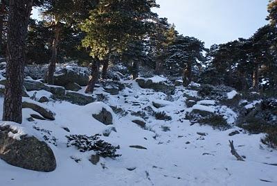 RUTA DE SIETE PICOS (SIERRA DE NAVACERRADA MADRID ESPAÑA) RUTA DE SIETE PICOS (SIERRA DE NAVACERRADA MADRID ESPAÑA)