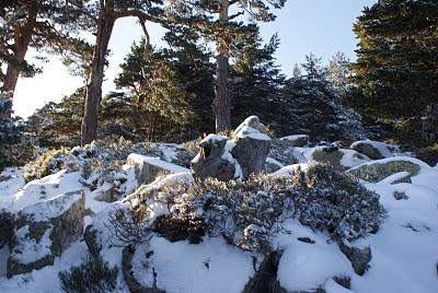 RUTA DE SIETE PICOS (SIERRA DE NAVACERRADA MADRID ESPAÑA) RUTA DE SIETE PICOS (SIERRA DE NAVACERRADA MADRID ESPAÑA)