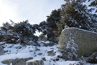 RUTA DE SIETE PICOS (SIERRA DE NAVACERRADA MADRID ESPAÑA) RUTA DE SIETE PICOS (SIERRA DE NAVACERRADA MADRID ESPAÑA)