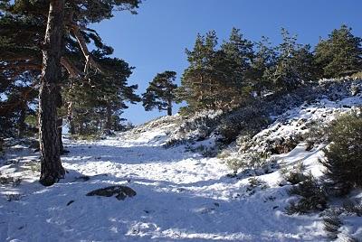 RUTA DE SIETE PICOS (SIERRA DE NAVACERRADA MADRID ESPAÑA) RUTA DE SIETE PICOS (SIERRA DE NAVACERRADA MADRID ESPAÑA)