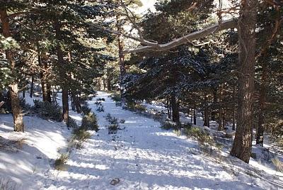 RUTA DE SIETE PICOS (SIERRA DE NAVACERRADA MADRID ESPAÑA) RUTA DE SIETE PICOS (SIERRA DE NAVACERRADA MADRID ESPAÑA)