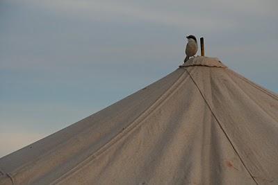 UN VIAJE APARATOSO UN VIAJE APARATOSO