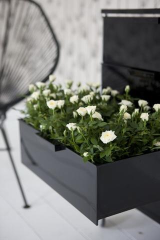 Un cajón con flores Un cajón con flores
