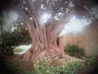 Más imágenes sonoras Más imágenes sonoras