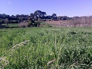 Más imágenes sonoras Más imágenes sonoras