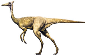 Pelecanimimus Pelecanimimus