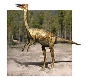 Pelecanimimus Pelecanimimus