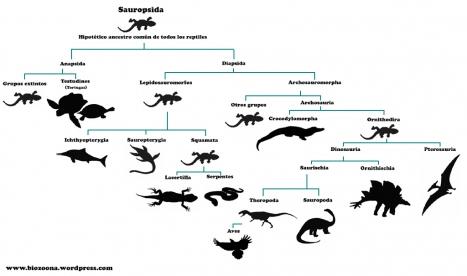 Sauropsida 1024 Para gustos, reptiles.