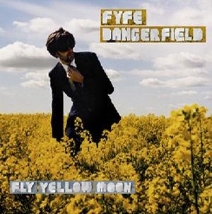 Fyfe Dangerfield  - Fly Yellow Moon