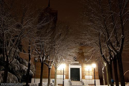 Foto Fotos de la Nevada de Enero de 2010 en Moraleja de Enmedio