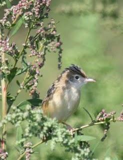 LAGUNA DE PITILLAS 2ª DIA-NAVARRA LAGUNA DE PITILLAS 2ª DIA-NAVARRA