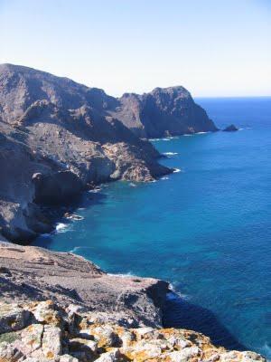 Fauna del Cabo de Tres Forcas