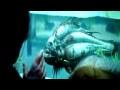 Teaser trailer de “Piranha 3D”