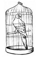 El loro que quería ser libre El loro que quería ser libre