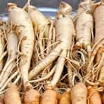 Ginseng, planta medicinal fotos Ginseng, planta medicinal fotos