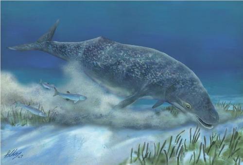 Sobre ballenas aspiradoras y grillos polinizadores, todo ensalzado con un nuevo golpe al antropocentrismo Sobre ballenas aspiradoras y grillos polinizadores, todo ensalzado con un nuevo golpe al antropocentrismo