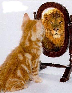 Eres lo que tu crees que eres http://4.bp.blogspot.com/_jchyjT206yE/SitSjxvzJ_I/AAAAAAAAD6k/e0iny96xHyE/s400/soberbia.jpg