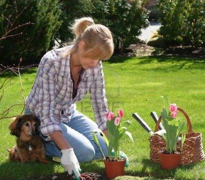 La jardineria La jardineria