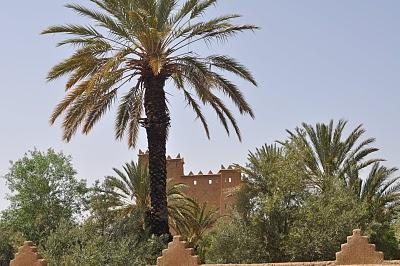 El Palmeral de Skoura