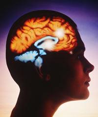 Teoría de la mente Teoría de la mente