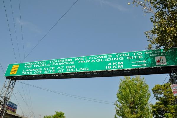 Dharamsala 8.1 Un pájaro sobre los Himalayas