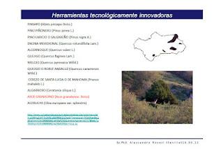 Arquitectura Rural:Visión retrospectiva de gestión del espacio