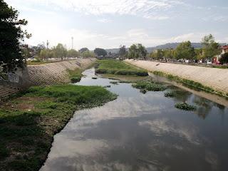 Ricardo Luque - Languidece el río Mololoa