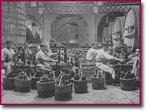 Trabajo en la bodega de Codorníu Gran Codorníu, la máxima expresión de la uva Chardonnay y Pinot Noir