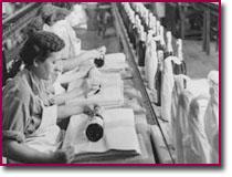 Embalaje en Codorníu Gran Codorníu, la máxima expresión de la uva Chardonnay y Pinot Noir