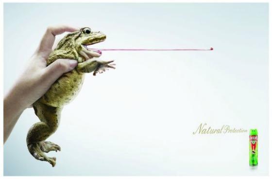 PUBLICIDAD CREATIVA PUBLICIDAD CREATIVA