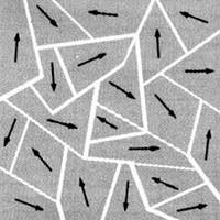 Dominios magnéticos ¿Qué tienen en común una bacteria y los ferrofluidos?