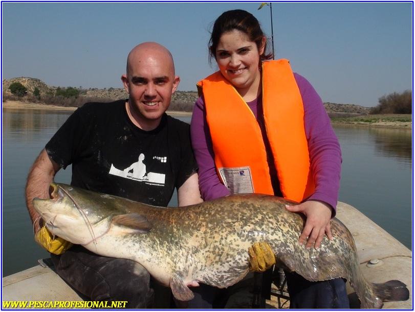 SILURUS GLANIS SILURUS GLANIS GUIA DE PESCA DE SILUROS A SPINNING