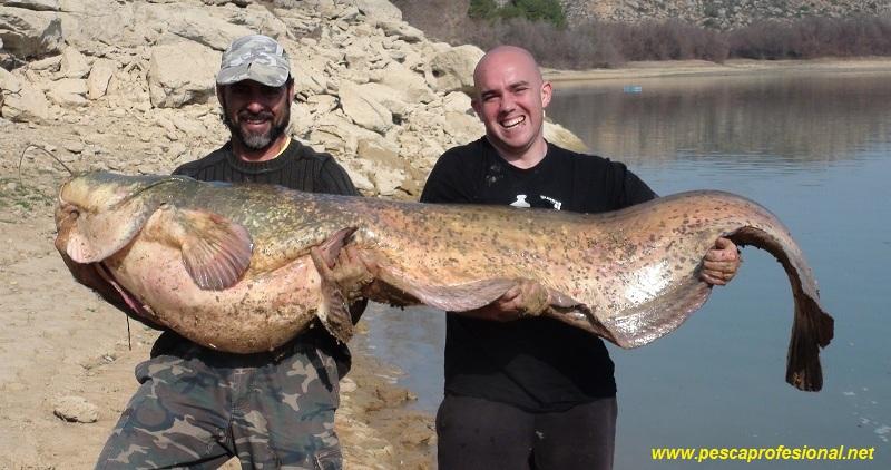 SILUROS AL LANZADO SILUROS AL LANZADO GUIA DE PESCA DE SILUROS A SPINNING