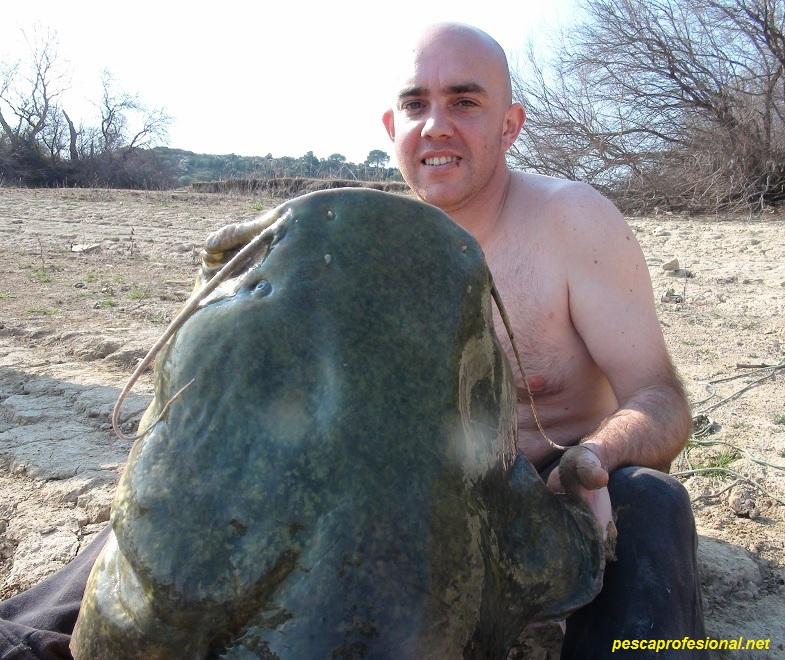 SILUROS AL LANCE SILUROS AL LANCE1 GUIA DE PESCA DE SILUROS A SPINNING