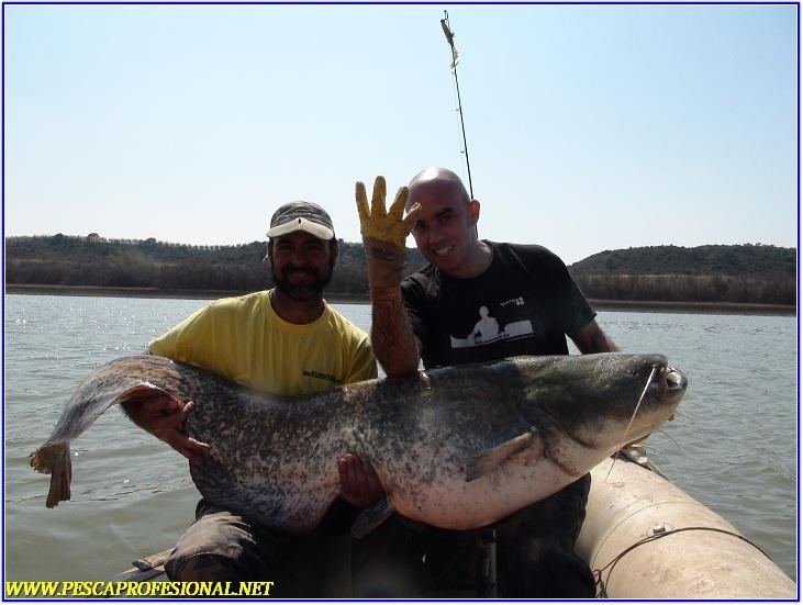 GUIA DE PESCA DEL SILURO A SPINNING GUIA DE PESCA DEL SILURO A SPINNING GUIA DE PESCA DE SILUROS A SPINNING