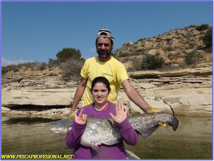 SILURO MEQUINENZA SILURO MEQUINENZA GUIA DE PESCA DE SILUROS A SPINNING