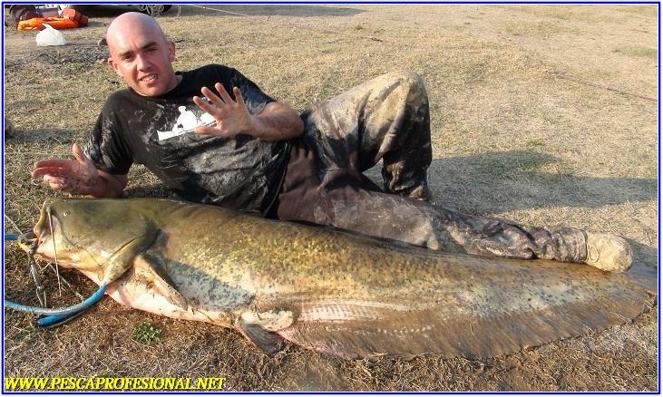 SILURO SILURO1 GUIA DE PESCA DE SILUROS A SPINNING