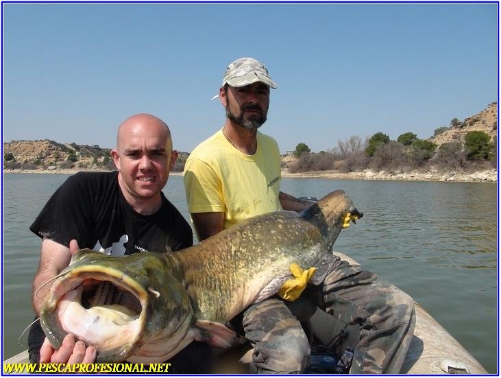 SILURO EBRO SILURO EBRO GUIA DE PESCA DE SILUROS A SPINNING