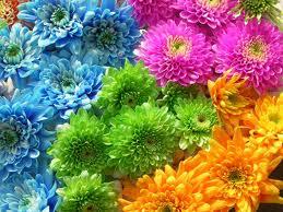 ¡Bienvenida primavera! ¡Bienvenida primavera!