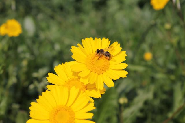 Salta, salta conmigo...Cuando hay pasión no hay limites II Salta, salta conmigo...Cuando hay pasión no hay limites II