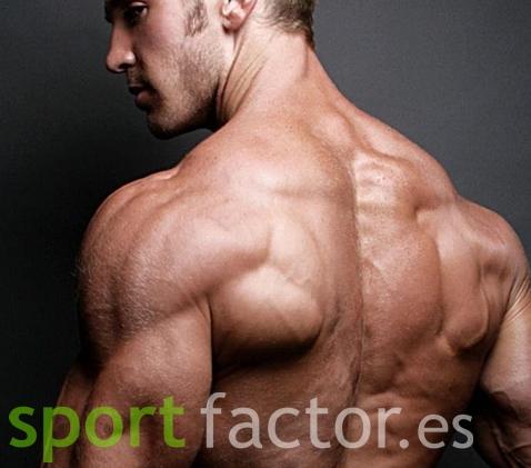 sistemas de entrenamiento con pesas Sistemas de entrenamiento para estimular tus músculos